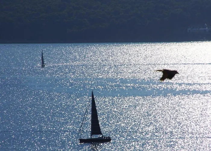 Apartamento Valerio 1 & 2